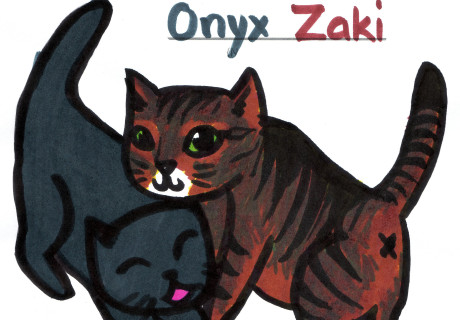 onyx-zaki